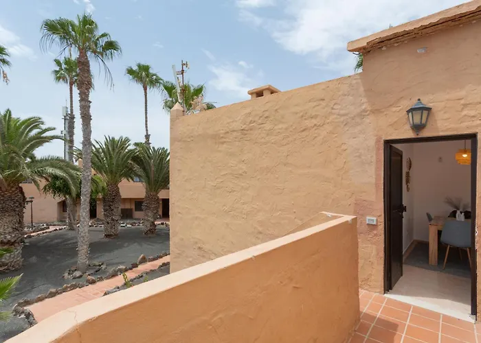 Margarita - Oasis Duna *