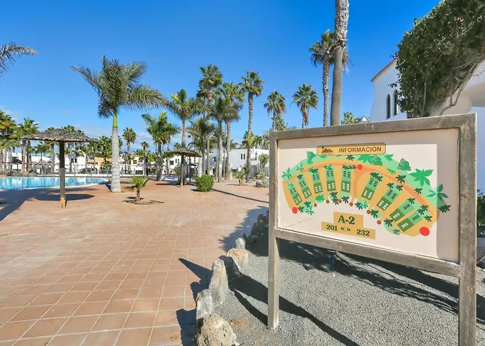 Margarita - Oasis Duna