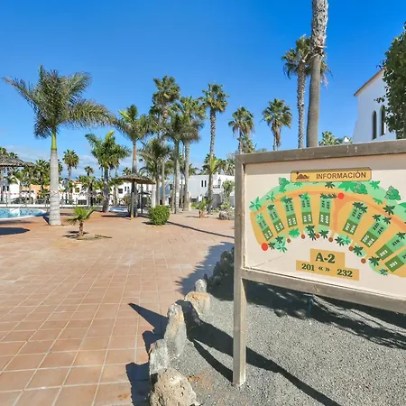 Margarita - Oasis Duna